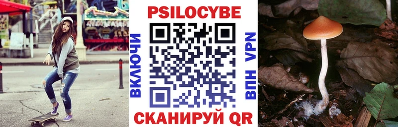 Псилоцибиновые грибы мухоморы  Купить  Суздаль 